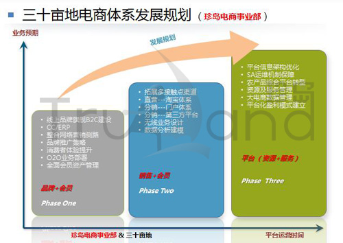 三十畝地電商體系發(fā)展規(guī)劃