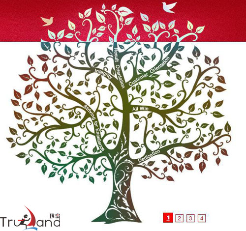 企業(yè)網(wǎng)站設(shè)計(jì)