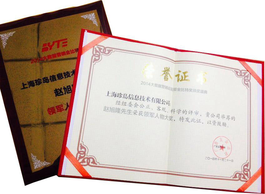 大數(shù)據(jù)營銷領(lǐng)軍人物獎