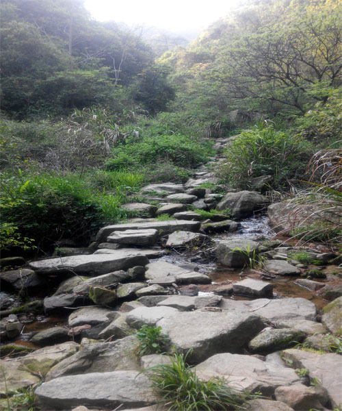 莫干山 再見！