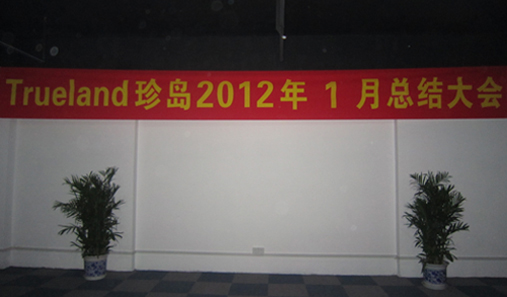 珍島2012年1月總結(jié)大會(huì)